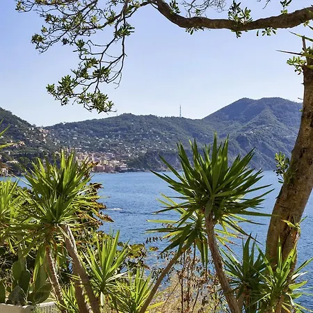 Yellow Sul Lungomare Di By Wonderful Italy * Recco