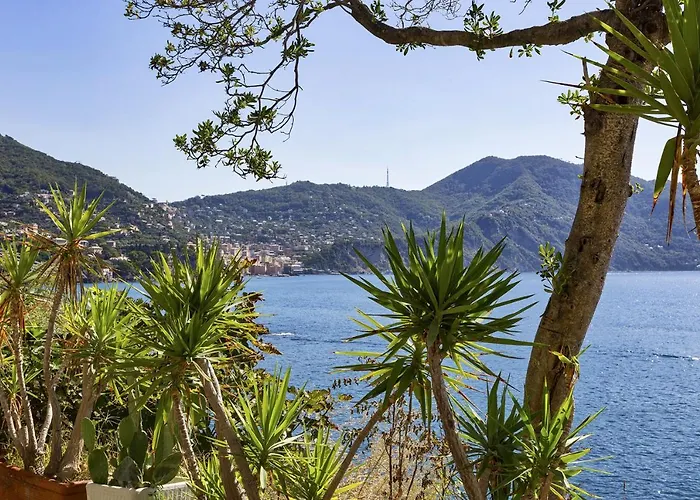 Yellow Sul Lungomare Di By Wonderful Italy * Recco